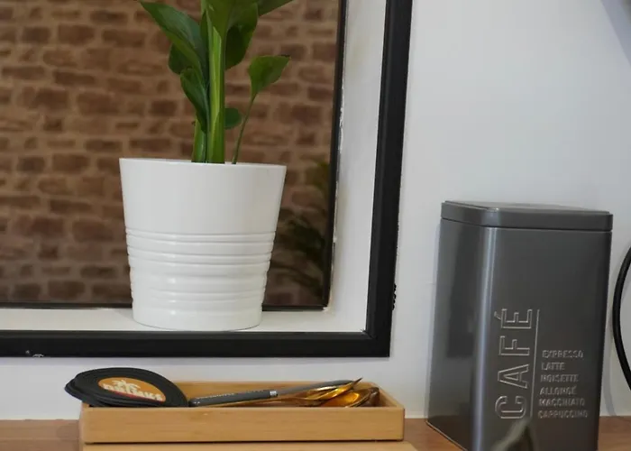 Appartement En Plein Centre